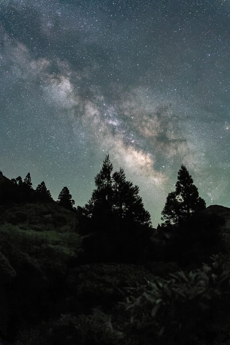Adventure under the stars