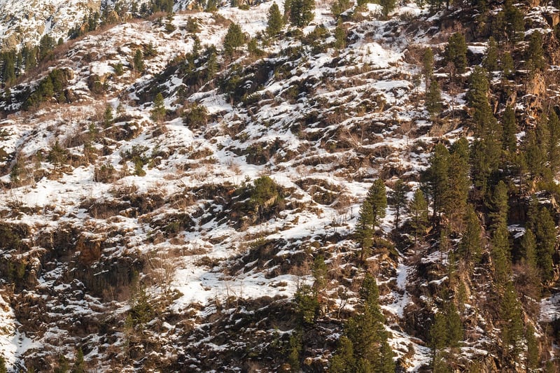 Rocky Mountains